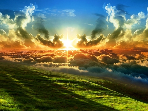 caufieldhouse's profile picture. 