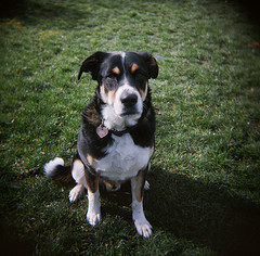 hollobaugh's profile picture. 