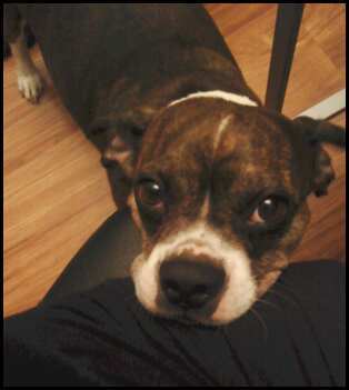 doigsayings's profile picture. the only reason i bother waking up each day is to listen to the howard stern show