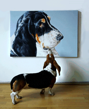 DaltonSprouse's profile picture. Director of Communications, Pueblo City Schools