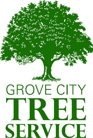 Grove City Tree Service is a family owned and operated tree service with a certified arborist on staff located in Grove City, Ohio