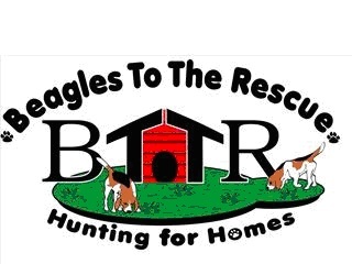 Beagles to the Rescue (BTTR) 501c3 charity dedicated to finding homes for beagle dogs and puppies & educating the public about responsible pet ownership.