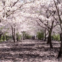 TODD BRAY - @STRAWMAN_86 - Twitter