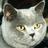 phykell's profile image