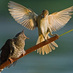 eduardo casares (@eduardocasares1) Twitter profile photo