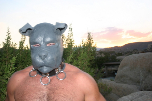 Rubber fetish hoods, paws, muzzles, etc. Visit our website for more information.
http://t.co/BVaIuBPqHN