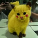 sara stringer - @cutecupcake8989 - Twitter