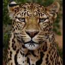 saul deras - @dezabeauty - Twitter