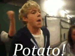 Nialler 3 I am completely in love with Niall Horan and Harry....and Louis! Also Zayn malik and Liam lol I just like niall a tenny bit more ;)))))