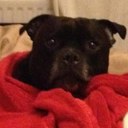 Jill Lockett - @JillLockett - Twitter