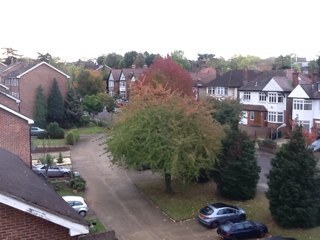 pk2131's profile picture. Child of God, working out my salvation, husband to @sumbsumb, Pastor, Teacher, passionate about getting out the Word of God, tech and social media enthusiast