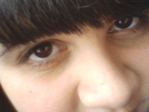 segue ?