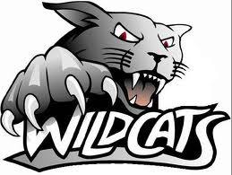 Wildcat Television, a production of the
Millbrook H.S. Digital Media Program
