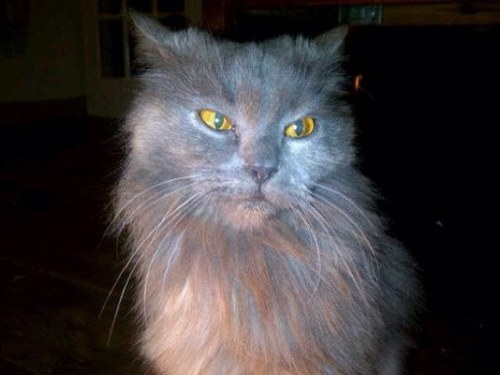 newzealand2013's profile picture. 