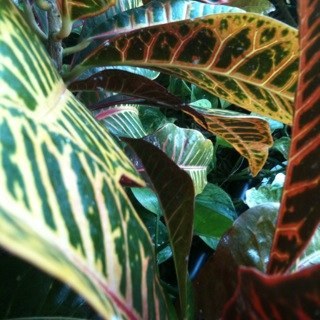 NewWildernessNY's profile picture. Queer Sounds and Vision