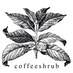 Coffee Shrub (@coffeeshrub) Twitter profile photo