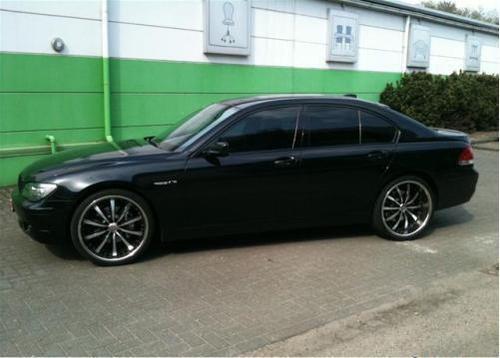 TaNiShkoder's profile picture. 