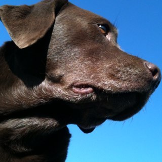 Kate1969's profile picture. If you tickle me, I won't be responsible for your injuries..