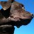 Kate1969's profile image