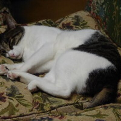 クロ 統合失調症の家族向け掲示板 T Co Hxe9axc2qi 自死遺族の為の掲示板 T Co Lkqqueodc0 数ある中の一つの選択肢として必要な方がいらっしゃれば