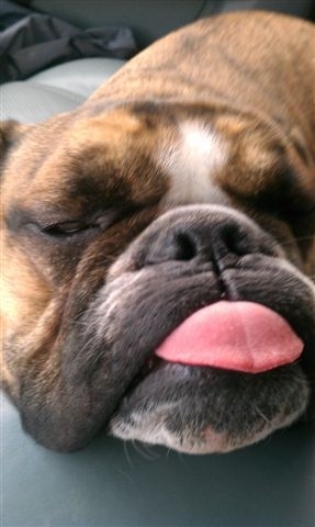 itsrectganesh's profile picture. NFT investing, research