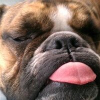 Reggie (@itsrectganesh) 's Twitter Profile