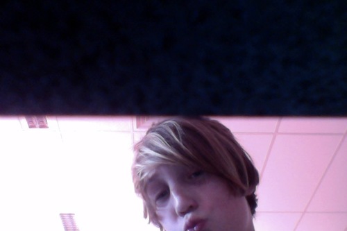 im a dinosaur