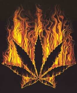 so foda ninguem pode comigo ñ meche comigo se nao q apanha ate sangra eu ja fui chamado de varias coisas de maconhero de viciado de arruasero esse so eu