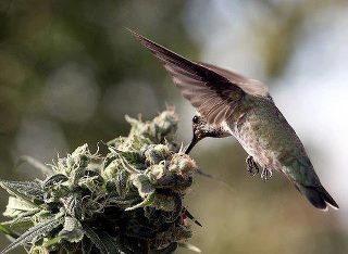 take me to your dealer