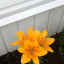 BRUCE AVERY-HANSON - @avery_bruce - Twitter