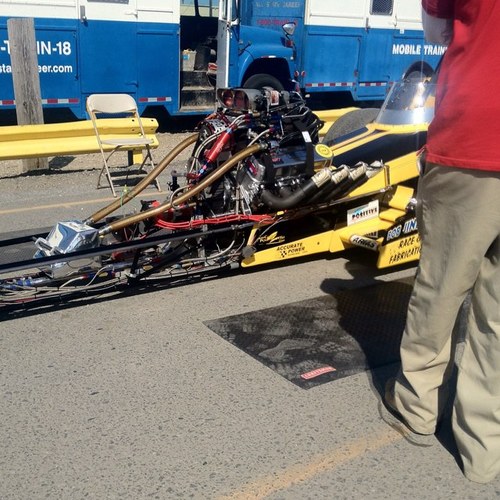 Spazzblu's profile picture. 