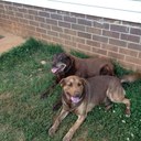 beverly hill - @bdh7435 - Twitter