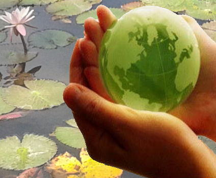 KindredWholism's profile picture. Physician Assistant and Wholistic Energy Practioner experienced in Qigong, Advanced Psych-K, Meditation, and Alternative Medicine & Nutrition.