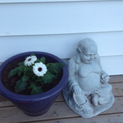 03meegs's profile picture. 