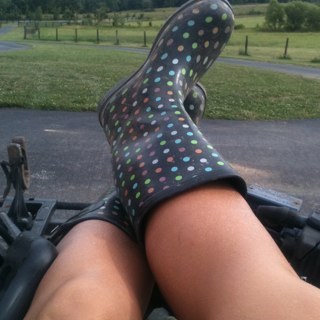 palletchick1's profile picture. 