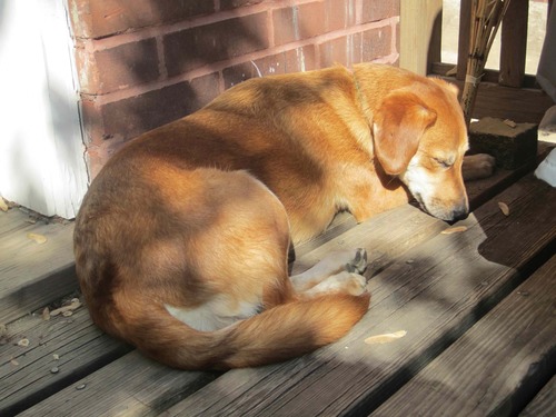 dr_dbsmith's profile picture. 