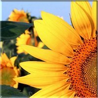 Whether it’s the best of times or the worst of times, it’s the only time we’ve got.-Art Buchwald