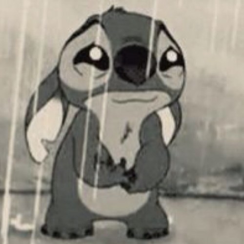 FallonSantoro's profile picture. 