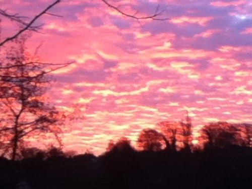 artstamers's profile picture. Arts, truth, forensic, beautiful love and its universal consiquences