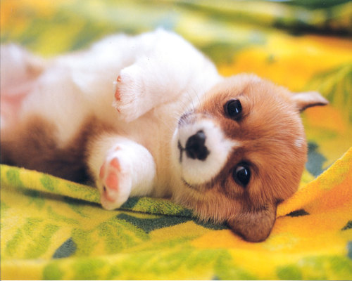 hammg86's profile picture. 