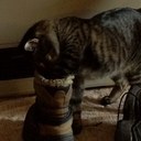 Moto-Steve - @SteveHermann - Twitter