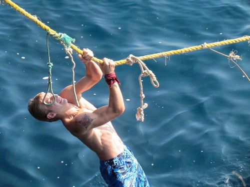 Pyronix33's profile picture. 