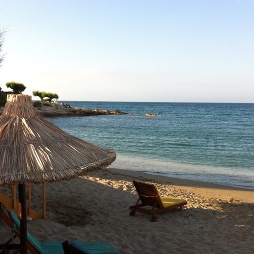 buonobuonodotnl's profile picture. 