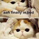 Steven★ - @StevenTheAnton - Twitter