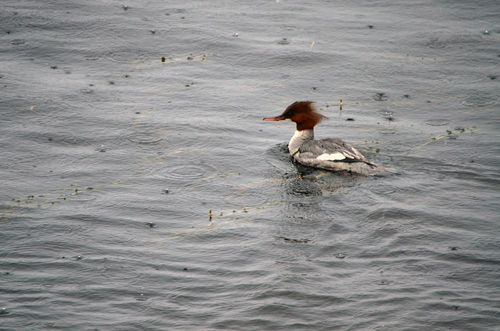 It_Is_My_Way's profile picture. 