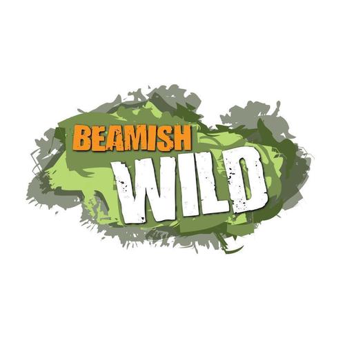 Beamish Wild Beamishwild1 Twitter