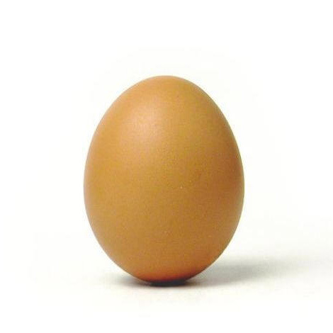 GetAppIt's profile picture. Or GetUp?!