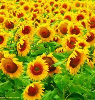 dontcallmekaty's profile picture. Loves bikes, cycling, summer, books, beach, all things political, mangoes.