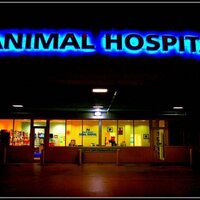 Alton Rd Animal Hosp (@altonrdah) 's Twitter Profile