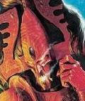 Warhammer, Playmobil, lego, gats, Villarreal e infinitat de coses frikis